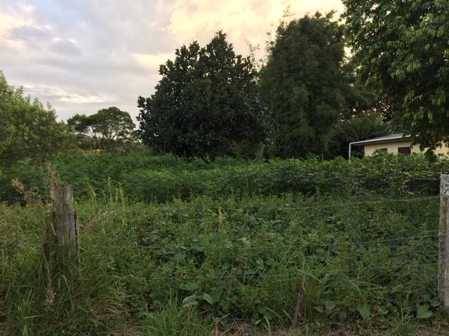 Chácara para Venda em Torres - 5