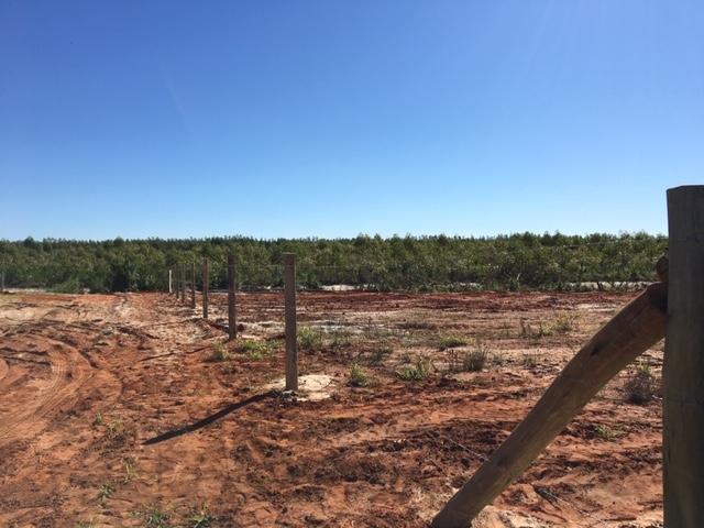 Terreno para Venda em Passo de Torres - 4