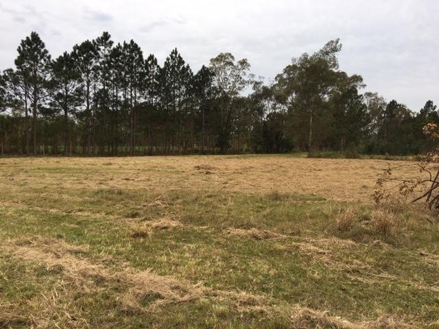 Área para Venda em Torres - 4