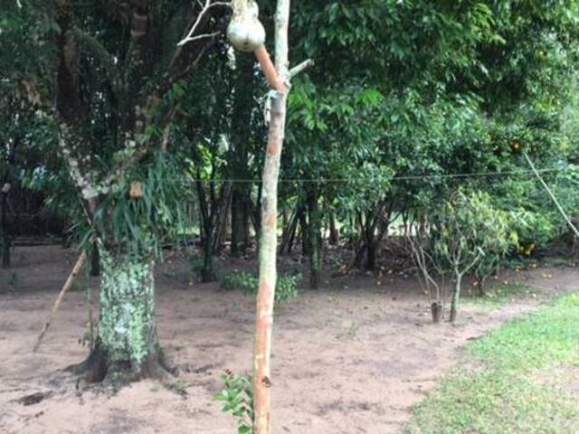 Sítio para Venda em Torres - 5