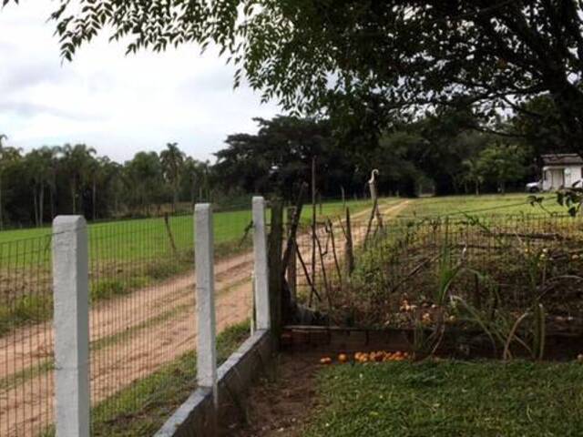 Sítio para Venda em Torres - 4