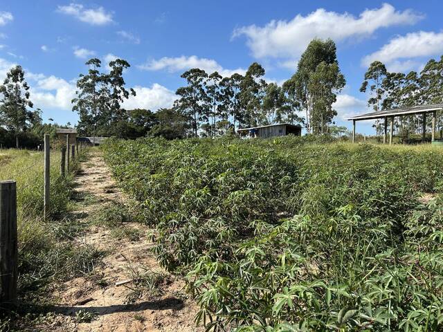 Chácara para Venda em Torres - 4